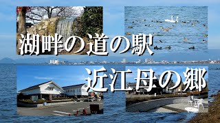 湖畔の道の駅　近江母の郷