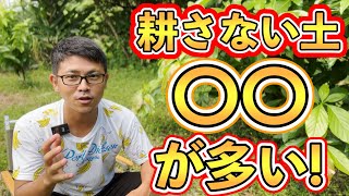 【必見】耕さない土！アレが多い！排水性や根の伸びが良くなるのはなぜ？