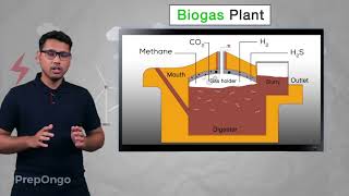 BioMass Energy
