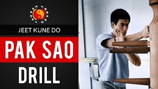 Bruce Lee's Jeet Kune Do Trapping Techniques - Pak Sao Drill