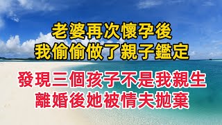 老婆再次懷孕後，我偷偷做了親子鑑定，發現三個孩子不是我親生的，最後離婚後被情夫拋棄無法養活#婚外情 #情感故事 #婚姻生活