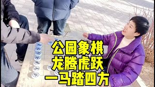 公园象棋，龙腾虎跃，一马踏四方！