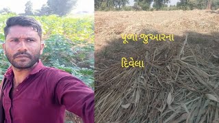 ચોમાસુ કામ પુરુ અને શિયાળા નીં શરૂઆત//chomasu kam puruandchiyalani saruat