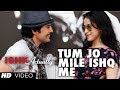 TUM JO MILE ISHQ ME FULL VIDEO SONG | ISHK ACTUALLY