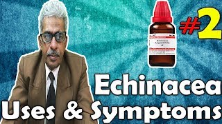 Echinacea (Part -2) - Uses and Symptoms in Homeopathy by Dr. P.S. Tiwari Echinacea (Part -2) - Uses and Symptoms in Homeopathy by Dr. P.S. Tiwari
