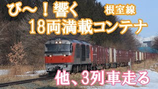 雪が溶け始める頃の清水12号踏切を走る列車達　DF200（警笛）DECMO　特急とかち　特急おおぞら　根室線にて