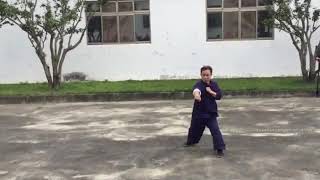 南宗少林 虎鷹拳(副十八步）