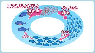 ②水産資源の資源評価～基本的な原理～