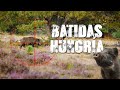 💥DOCUMENTAL GRATIS💥Grandes bocas en Batida | Jabalíes del este de Europa | Iberalia GO!