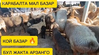 КОЙ БАЗАР 23/02/25/МАЙРАМЫҢЫЗДАР МЕНЕН КАРАБАЛТА МАЛ БАЗАРЫ