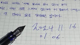 [5] 만년필로 쓰는 클로즈업 필사