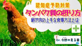 #5 『卵や肉を食べて認知症予防！タンパク質の身体に良い摂り方』