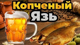 ЯЗЬ ХОЛОДНОГО КОПЧЕНИЯ. Самый не сложный рецепт.