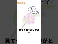 【花言葉】3月16日の誕生花は「ハナカイドウ」／花白もか shorts【vtuber】