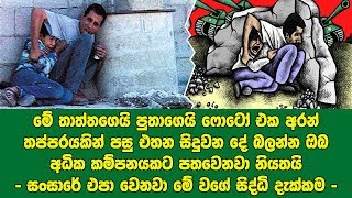 මුළු ලොවම කම්පාවට පත්වුණු මිලියන ගණනක් හැඬවූ  තාත්තගෙයි පුතාගෙයි සංවේදී ඡායාරුපය මෙන්න