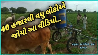 ઓર્ગેનિક મગફળી ની ખેતી માં જીવામૃત નો સંટકાવ..