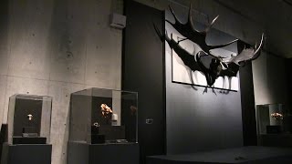 国立科学博物館　大英自然史博物館展