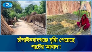 সুদিন ফিরছে ফিকে হতে বসা সোনালী আঁশের! | Chapainawabganj | Jute | Rtv News