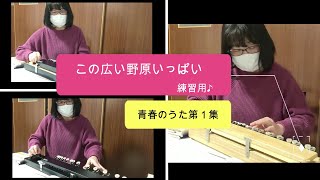 大正琴「この広い野原いっぱい」アンサンブル