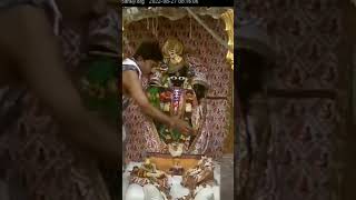 Ranchhodraiji live Darshan Dakor Temple Shringar Darshan