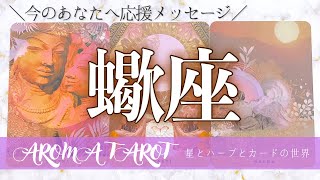 【さそり座】今のあなたへ応援メッセージ❤️‍🔥見た瞬間がタイミング🕊✨【タロット＋オラクルカードリーディング】