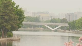 Hazy skies and poor air quality in Ottawa due to wildfire | Canada wildfires