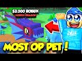 I Got THE OP DRAGON VORTEX PET In Battle Pets TD Simulator!!