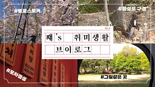 [VLOG] 벚꽃스토커 쨰의 칠링데이