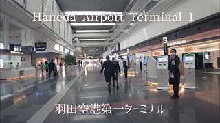 Take a walk at Haneda Airport Terminal 1/羽田空港第一ターミナルを散歩