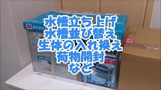 水槽立ち上げ【ブルーザリガニ（フロリダブルー）】【水槽移動：荷物開封：レイアウト】