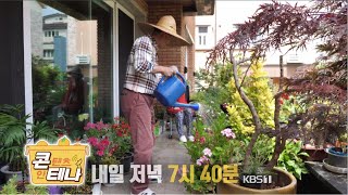 콘테나 ＆ 정원의 발견 예고 2021.06.04 방송 [KBS제주]