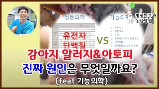 95. 강아지 알러지와 아토피의 진짜 원인(feat 기능의학)[평생피부과동물병원]