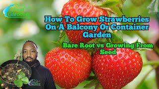 How To Grow Strawberries On A Balcony or Container Garden