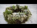 How to make a Succulent wreath | Grow at Home | Royal Horticultural Society