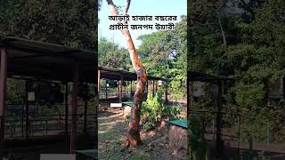 আড়াই হাজার বছর আগে উয়ারী গ্রামটি বাংলার সমৃদ্ধ জনপদ ছিল। #Bangladesh #WariBateshwar #history