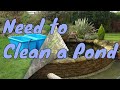 How often do you need to clean a pond? by a Pond Cleaning Company