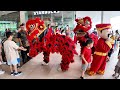 Double Lion Dance at United Point Mall CNY 2024