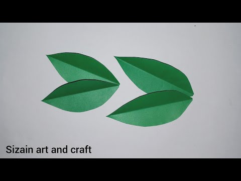 How many leaves are on a cut?