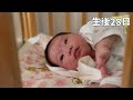 【生後28日】大きなあくび❣　【day28】baby big yawn❣