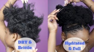 PROTEIN TREATMENT FOR EXTREMELY BRITTLE \u0026 DRY NATURAL HAIR | Aphogee 2 Step Treatment