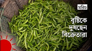 '২০ টাকায় ১৫ টা কাঁচা মরিচ হইসে' | Chili Price | Green Chili Price