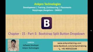 Bootstrap Chapter 15 - Bootstrap Split Button Drop down Part-3