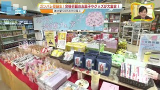 【中継】ガンバレ受験生！　合格祈願のお菓子やグッズが道の駅に大集合！《新潟》