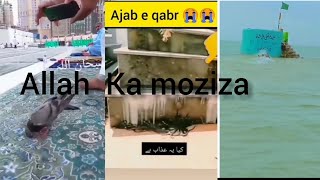 islamic video allah ka mojza 😯#shorts #youtubeshorts #ytshorts #islamichistory