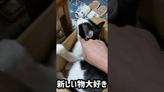 箱入り娘と箱入り息子