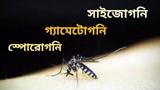 ম্যালেরিয়া পরজীবীর জীবন চক্র | Malaria life cycle | Biology Helpline