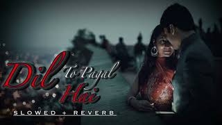 Dil To Pagal Hai (Slowed + Reverb) || Lofi Song