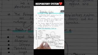 Human Respiratory System Short Notes, Pharynx ,Trachea ,Lungs ,  #shorts #youtubeshorts #status 🤔