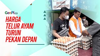 Harga Telur Ayam Diprediksi Turun Pekan Depan, Kata Mendag