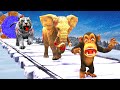 2 Zombie Tigers Run away From Funny Monkey Temple Run | Giant Elephant vs Zombie Tigers Animal Fight